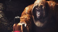 Conheça Gigantopithecus, o Orangotango Gigante Extinto em 'O Livro da ...