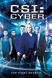 CSI: Cyber Full Episodes Of Season 1 Online Free
