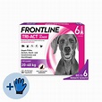 Frontline Tri-Act für Hunde | Gegen Flöhe & Zecken