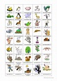 Tiere - Bilderwörterbuch | Bildwörterbuch, Deutsch lernen, Deutsch kinder
