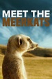Meet the Meerkats (Movie, 2022) - MovieMeter.com