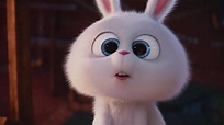 Snowball, from The Secret Life of Pets | CapeStyle Magazine Online