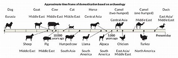 Domestication Of Animals Timeline