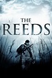 The Reeds (película 2010) - Tráiler. resumen, reparto y dónde ver ...