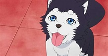Aggregate 73+ anime dog characters best - in.coedo.com.vn