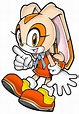 Cream the Rabbit - Sega Wiki - The ultimate unofficial Sega resource ...