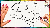 Cómo Dibujar El Cerebro Humano Paso A Paso 🧠 Dibujo Fácil De El Cerebro ...