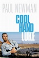 Cool Hand Luke (1967) - Posters — The Movie Database (TMDB)