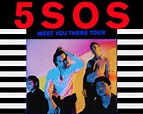 Meet You There Tour | 5 Seconds of Summer Wiki | Fandom