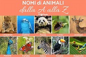 300+ Nomi di animali: Dalla A alla Z