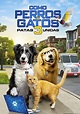 Como perros y gatos 3: Patas unidas | Doblaje Wiki | Fandom