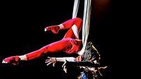 Top 124+ Imagenes de artistas de circo - Destinomexico.mx