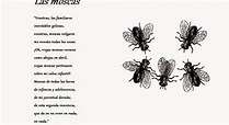 Las moscas de Antonio Machado | Todo sobre las moscas