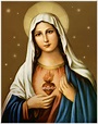 La Inspiradora Historia de la Virgen María: Madre de Jesús