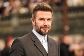 David Beckham Gets Fans Buzzing With Beekeeping Photo - Parade ...