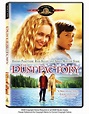 The Dust Factory - Fabrica de praf (2004) - Film - CineMagia.ro
