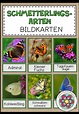 Schmetterlingsarten - Bildkarten – Unterrichtsmaterial im Fach ...