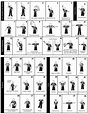 http://www.ovyl.org/documents/2013/10/basketball-referee-hand-signals ...