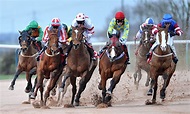 horse, Racing, Race, Equestrian, Sport, Jockey, Horses Wallpapers HD ...