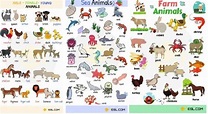 Nomi degli animali: poster da stampare | Il blog dell'inglese per i bambini