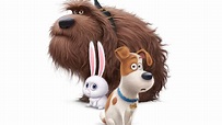 3840x2160 The Secrete Life of Pets Movie Dogs 4k HD 4k Wallpapers ...