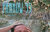 Pankow '95 (1984) - Film | cinema.de