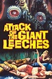 Attack of the Giant Leeches Pictures - Rotten Tomatoes