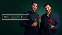 Der Bachelor - Staffel 8 im Online Stream | RTL+
