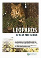 Leopards of Dead Tree Island (2010) — The Movie Database (TMDB)