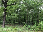 Arkansas Land For Sale 20 Acres +/- Woods