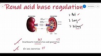 Renal acid base regulation | Acid base balance | Renal Physiology | Med ...