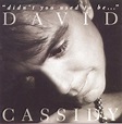 Didn't You Used to Be: David Cassidy: Amazon.es: CDs y vinilos}