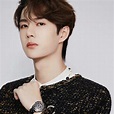 Biodata dan Profil Lengkap Wang Yibo - Nona Mandarin