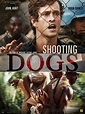 Sección visual de Disparando a perros (Shooting Dogs) - FilmAffinity