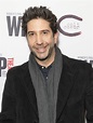 David Schwimmer on 'Intelligence' and 'Friends' Reunion