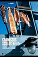 Chamissos Schatten: Kapitel 3 - Kamtschatka und die Beringinsel | Film ...