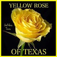 Yellow Rose of Texas | Photo fleur rose, Hybrides de thé, Fleurs jaunes