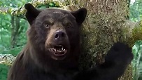 Cocaine Bear: Conoce la historia real de Pablo Eskobear, el oso intoxicado