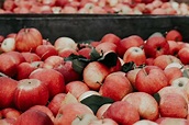 Bitter Apples - Everything You Need to Know - Foods Guy