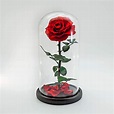 Beauty and The Beast Handmade Preserved Eternal Rose with Fallen Petals ...