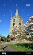 St Lawrence Church, The High Street, Chobham, Surrey, England, United ...
