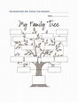 Family Tree activity for The Brand New Kid by Katie Couric. Students ...