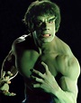 Lou Ferrigno as The Incredible Hulk | The incredibles, Superhero movies ...