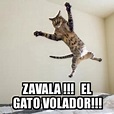 Meme Personalizado - Zavala !!! El gato volador!!! - 28761509