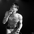 Car colections: Iggy Pop Young - Iggy Pop Photos 16 Of 431 Last Fm - James newell osterberg ...