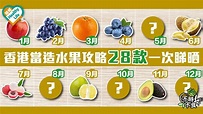 【不時不食】香港當造水果攻略 28款一次睇晒 - 晴報 - 健康 - 飲食與運動 - D190819