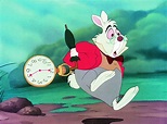 The White Rabbit, Alice in Wonderland from Famous Rabbits & Bunnies in ...