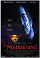 The Maddening 1995 DVD Burt Reynolds