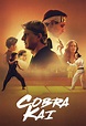 Cobra Kai Season 1 Episode 2: "Strike First"