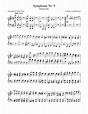 Beethoven Symphony No. 9 (2nd movement) for piano solo Sheet music for ...